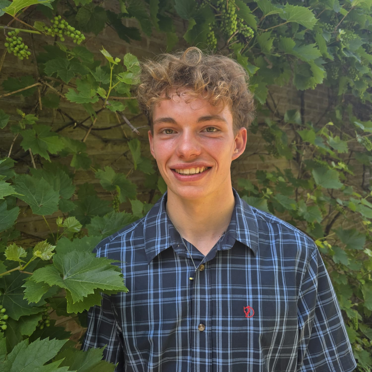 Michiel Maes